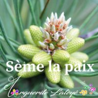 cartes inspirations site internet-6 cartes inspirations site internet-6